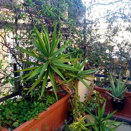 La Terrazza